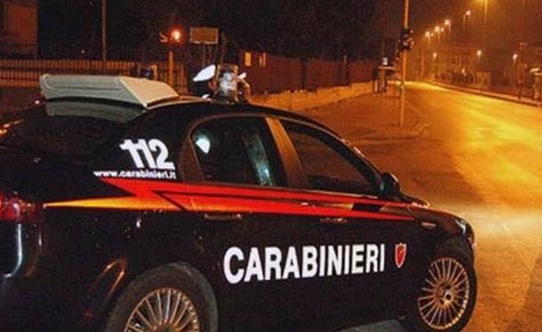 Spara in aria per difendersi da due pitbull lasciati liberi 