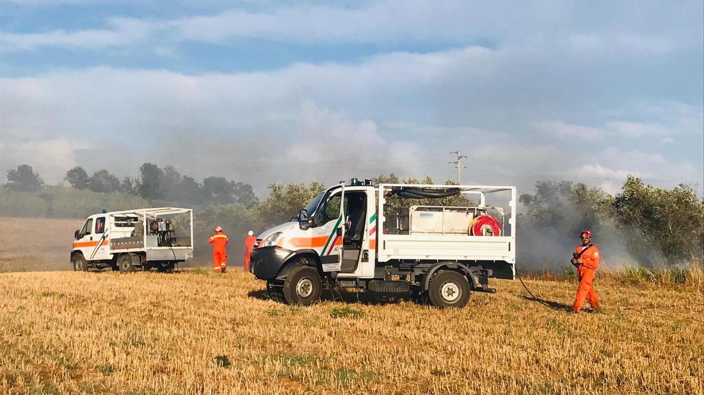 Vada, fiamme nelle campagne in zona La Valle: il forte vento ha alimentato l’incendio 