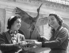 Una mescitrice offre l’acqua termale a una curista davanti alla fontana dell’Airone (Archivio Rosellini)