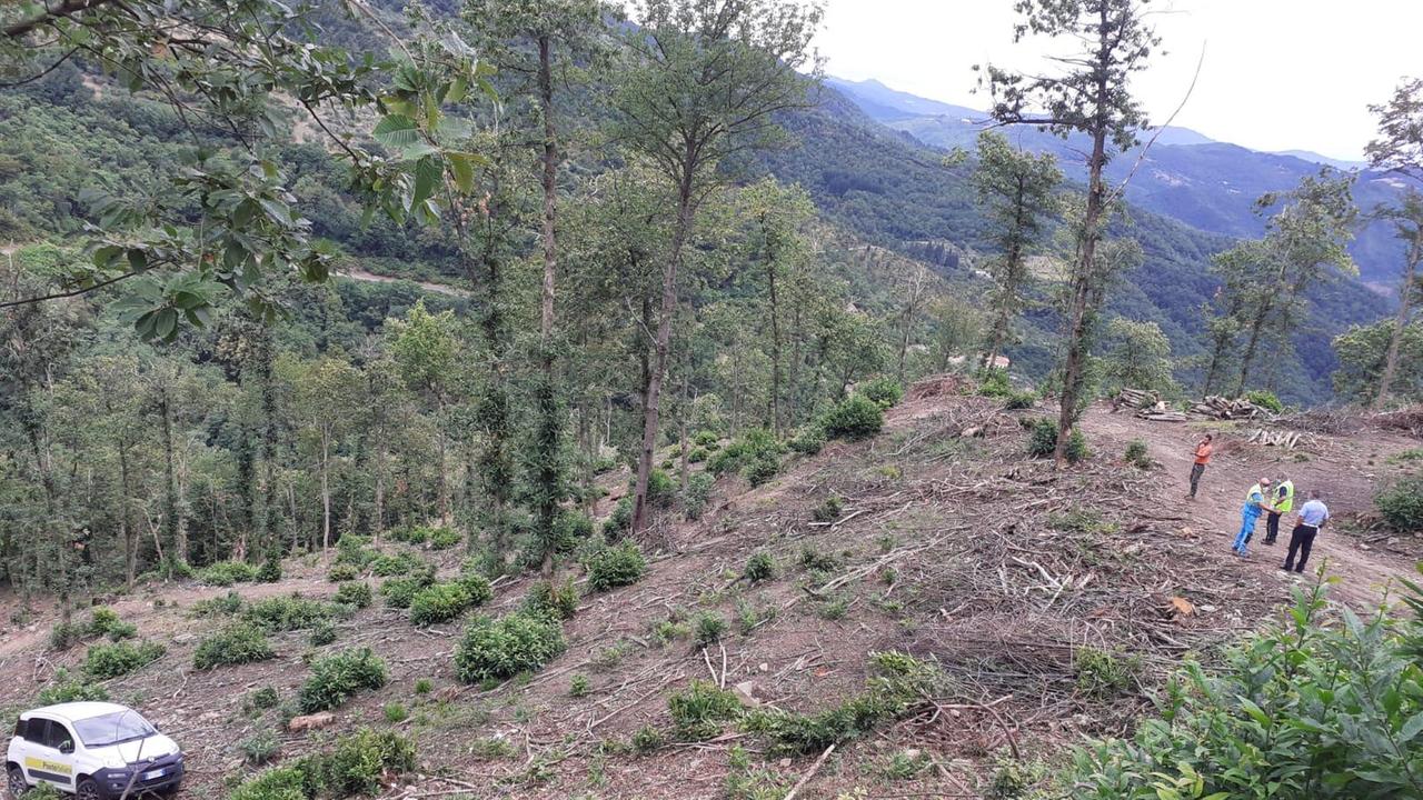 I soccorritori sulla strada e l'auto finita nella scarpata