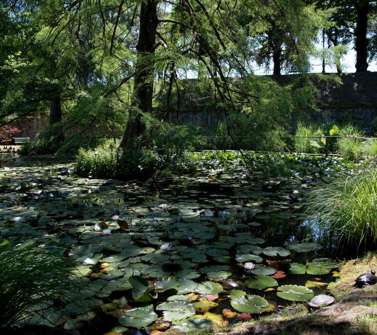 Metti il fascino di un tour all’Orto Botanico 