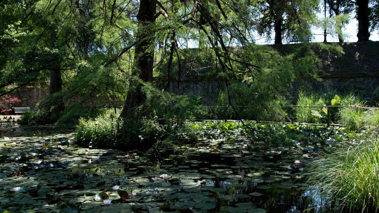 Metti il fascino di un tour all’Orto Botanico