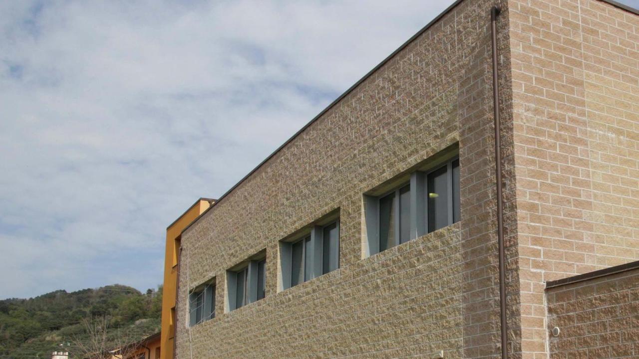 I professori della Pellegrini «Fuga dalla scuola? Un falso»