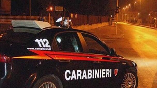 Spara in aria per difendersi da due pitbull lasciati liberi