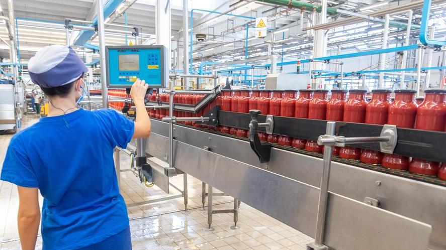 L’estate si tinge di rosso: per il pomodoro è boom di domanda e di lavorazione