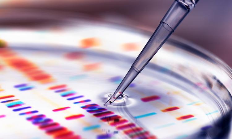 Coronavirus in Toscana: 11 nuovi positivi e nessun decesso