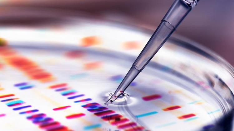 Coronavirus in Toscana: 11 nuovi positivi e nessun decesso