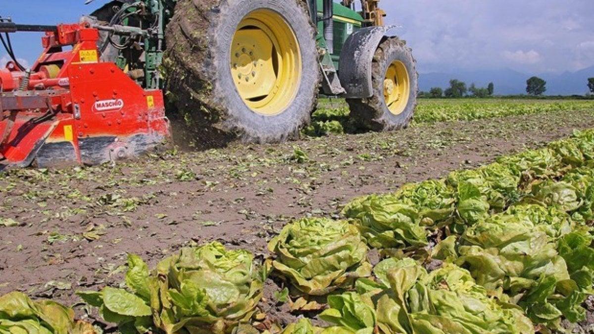 La Regione chiede nuovi fondi per l'agricoltura biologica