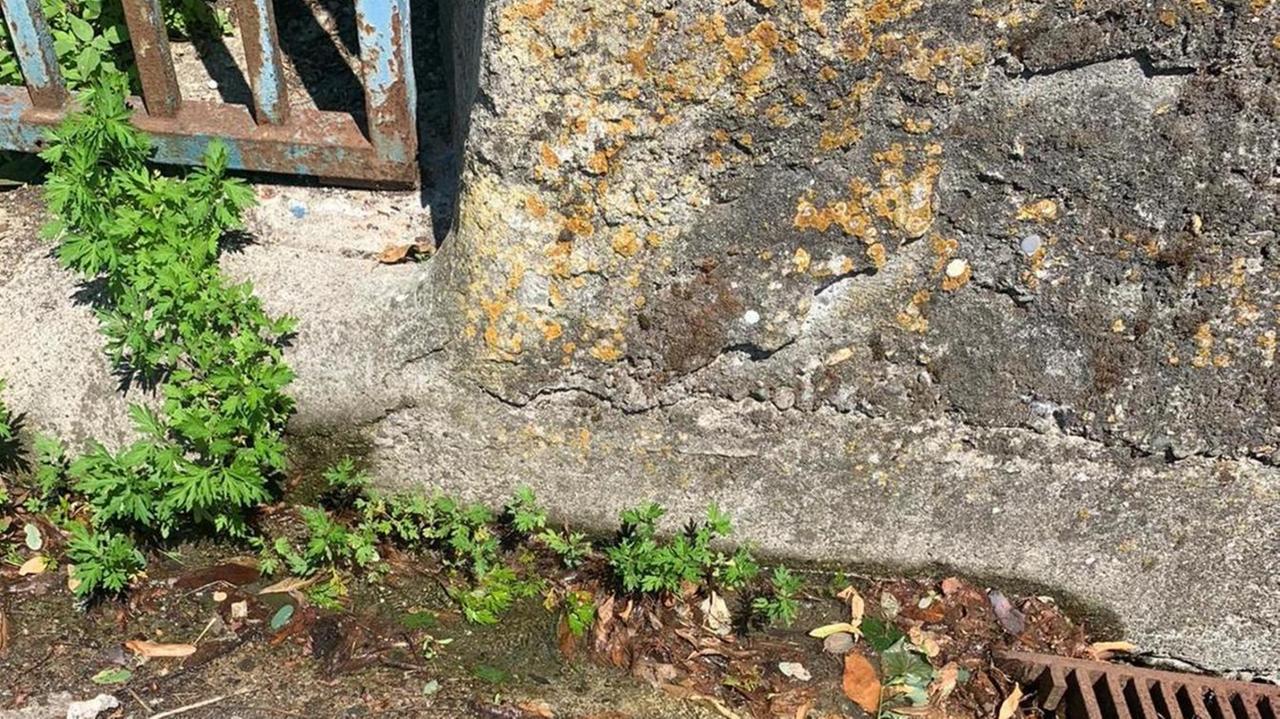«Troppe perdite dalla rete, il gestore ripari i guasti»