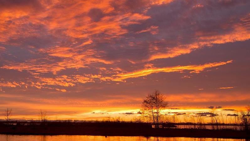 Gita notturna in battello sul lago di Massaciuccoli per osservare le stelle