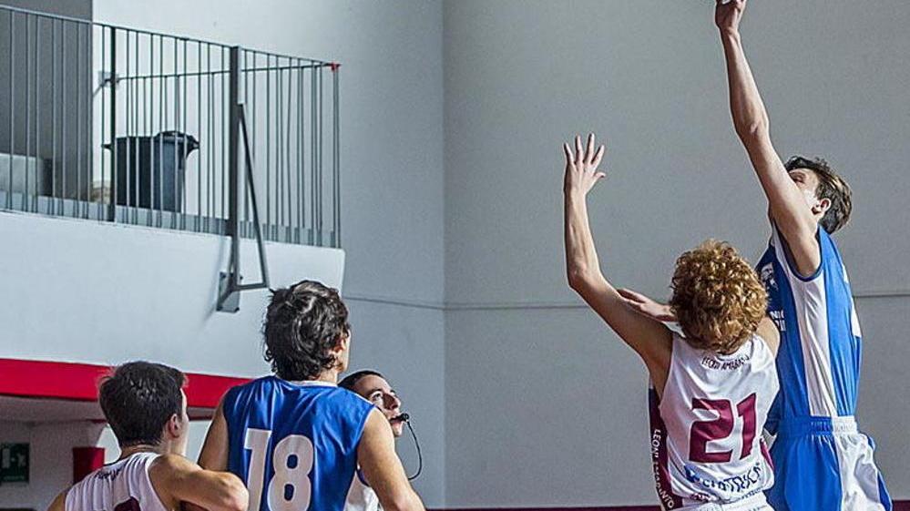 Accordi, rotture, picche e ripicche: nel vivaio del basket cresce tanta ortica