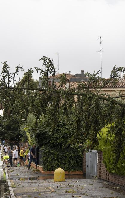 In città ferite “verdi” da almeno 180mila euro E ora pulizia nei parchi e alberi da abbattere 
