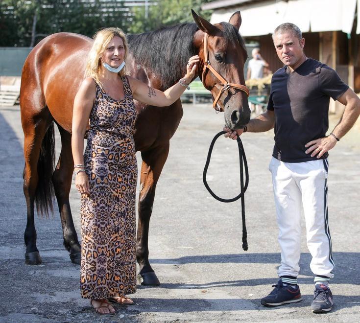 Modena, l’ippodromo adotta la cavallina di due anni bloccata dal lockdown. «Si chiama Speranza» 