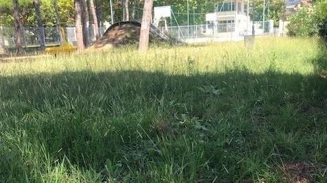 Degrado nel parco di Tonfano