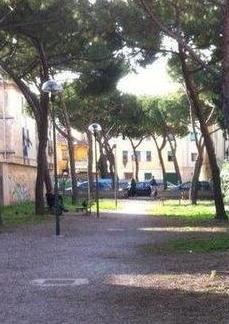 Stasera pulizia straordinaria dei giardini