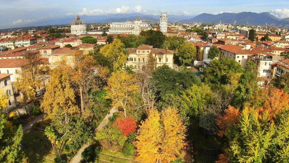Da martedì in regalo sedici scatti da collezione