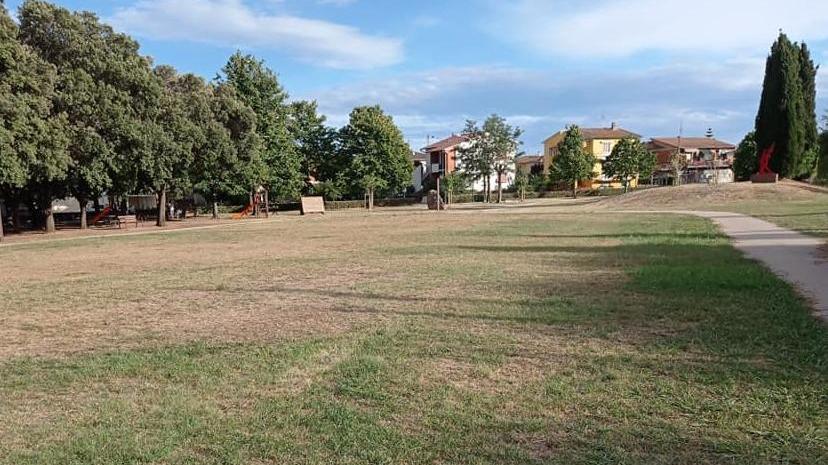 Manifestazione di idee ai laghetti di Tufaia Contraltare al Carroccio
