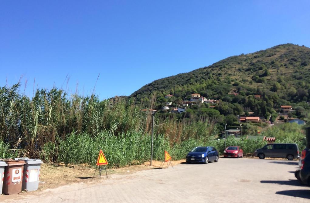 I turisti «Giù le mani dal canneto della spiaggia»