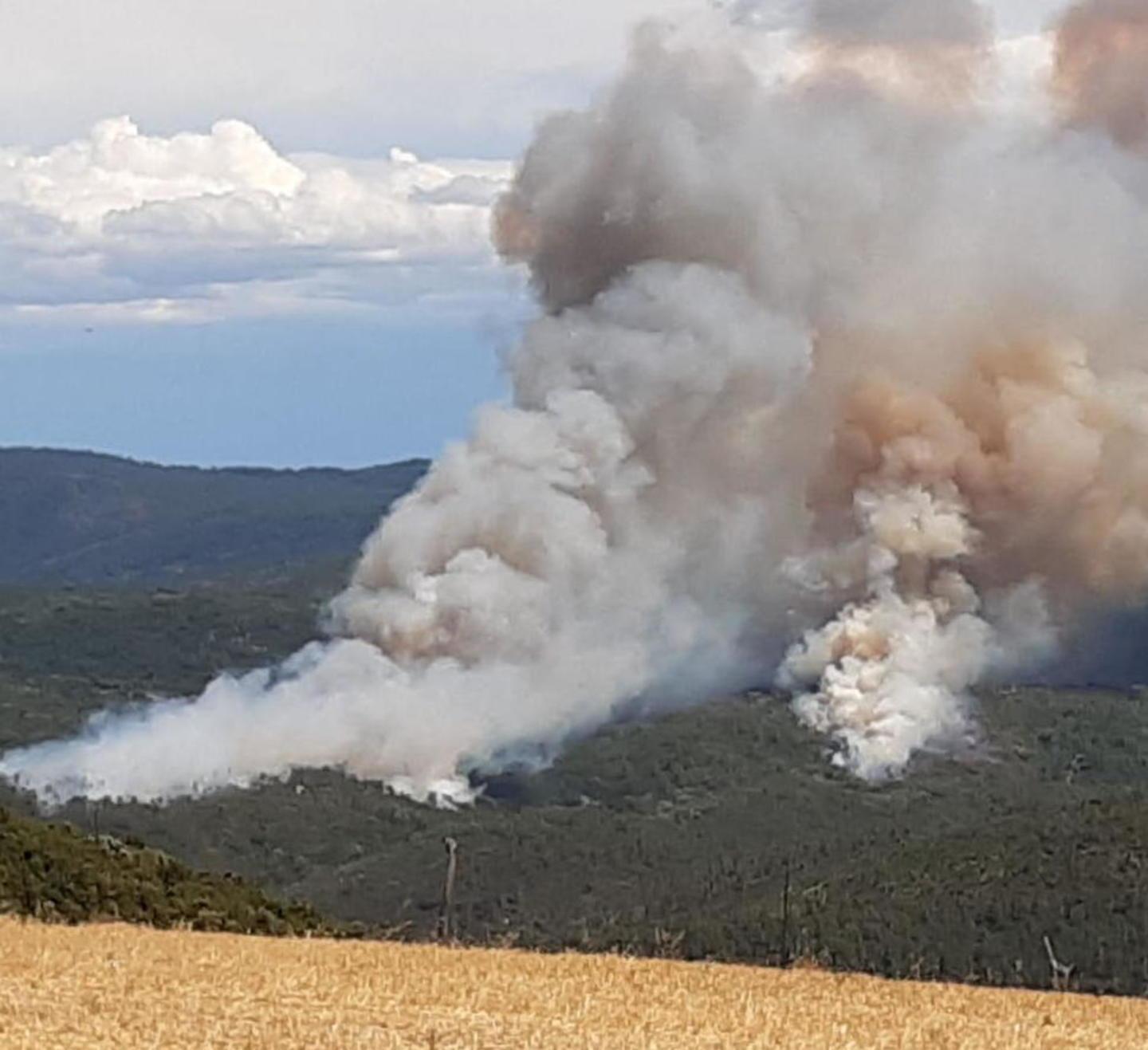 Mezzo milione di euro per domare le fiamme nei boschi di Bagnolo 