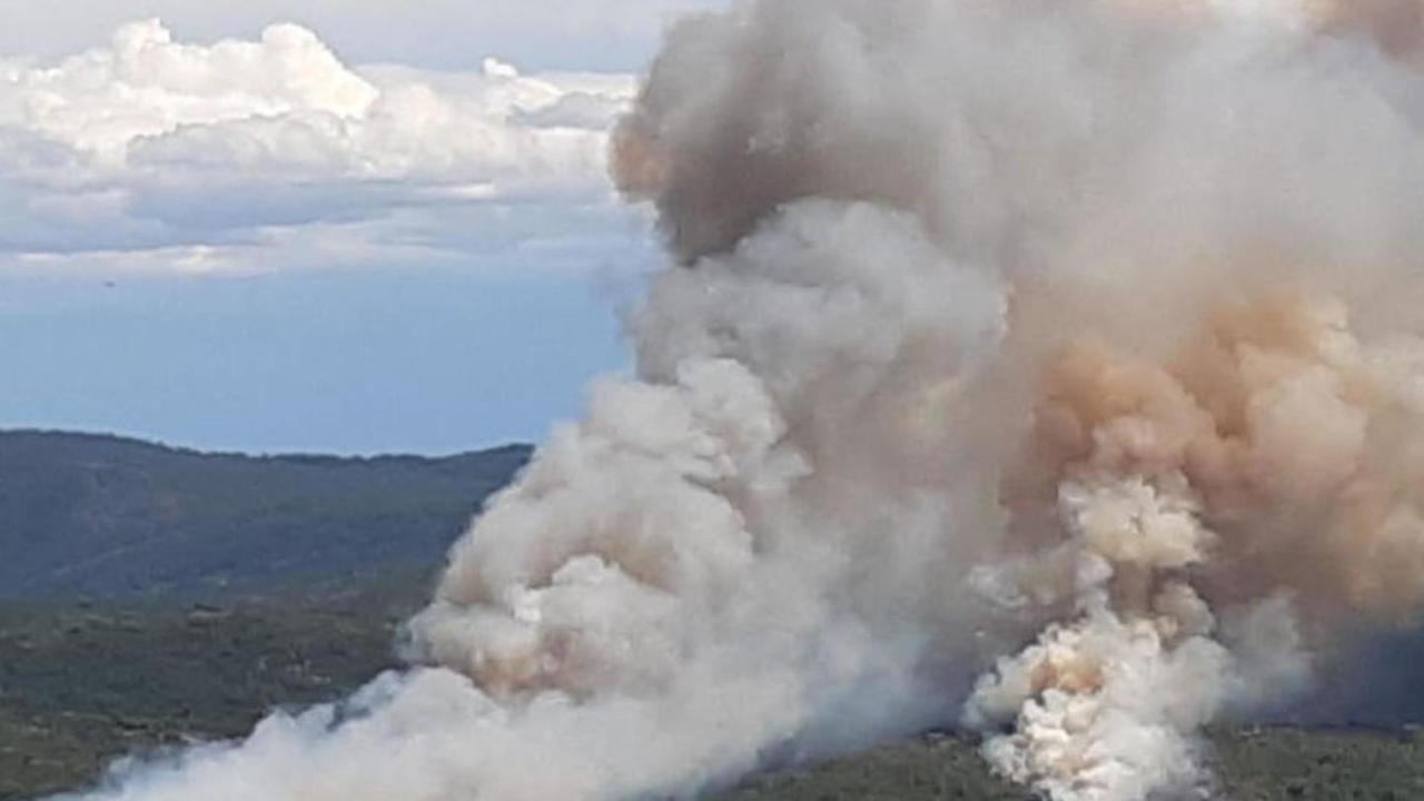 Mezzo milione di euro per domare le fiamme nei boschi di Bagnolo
