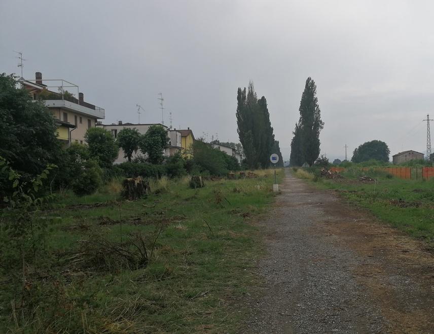 «Parco Ducale, le 49 villette? Uno sfregio alla reggia estense» 