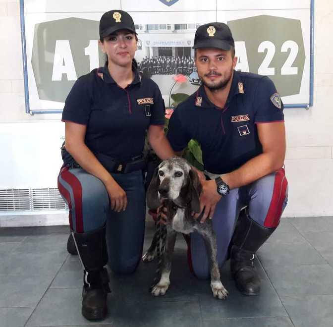 La polizia stradale in A1 salva la cagnolina Agata 