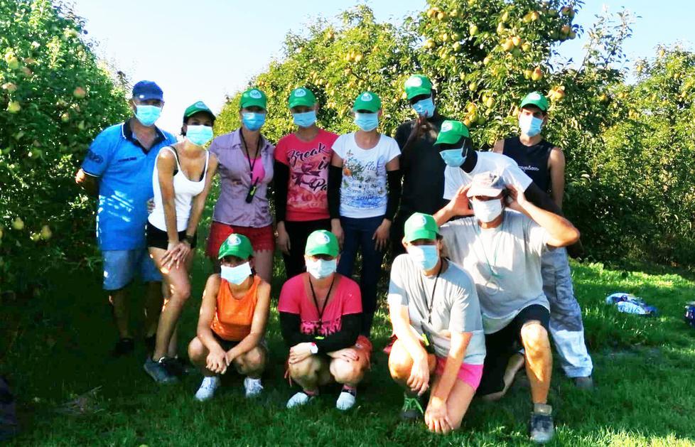 Campi, non c’è manodopera «E tanti assunti “fuggono”» 