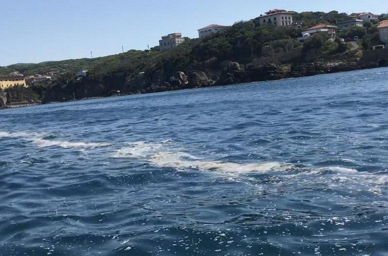 Castiglioncello, grandi chiazze di schiuma bianca avvistate in mare al largo della costa 