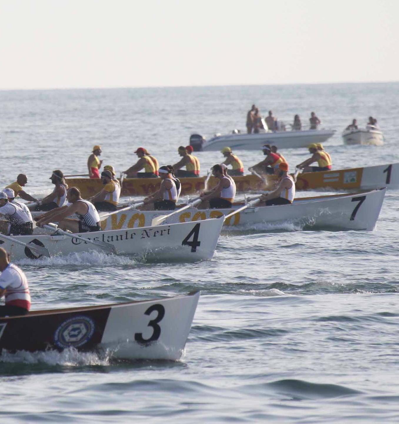 Inchiesta sul Palio Marinaro, prosciolti i tre indagati: «La notizia di reato è infondata»