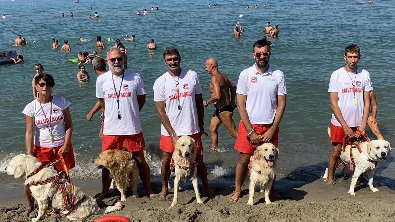 I volontari della Scuola nazionale cani da salvataggio