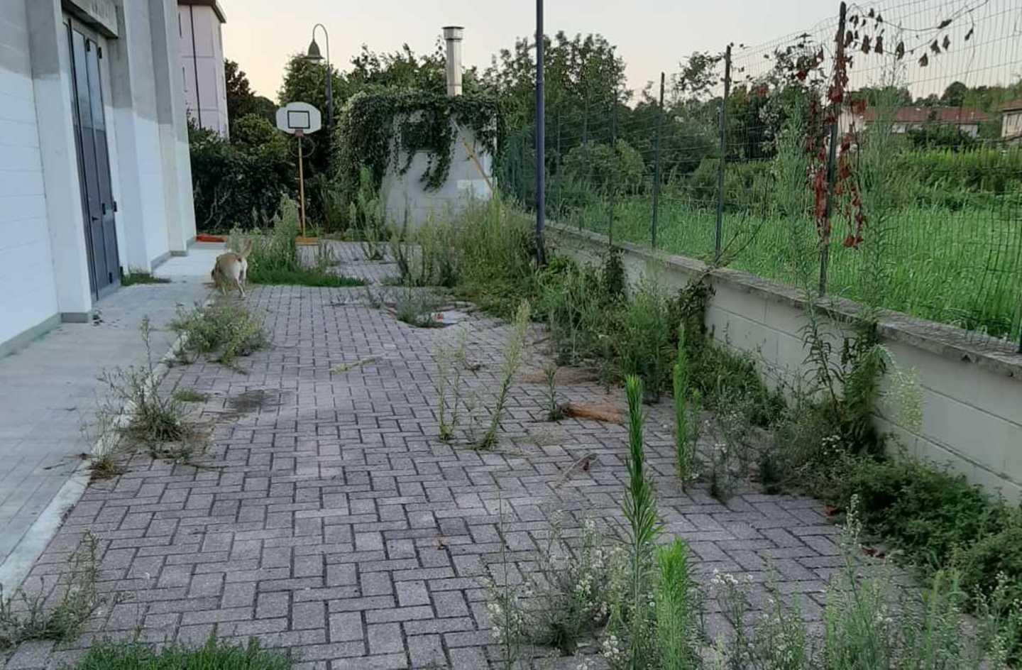 La palestra abbandonata