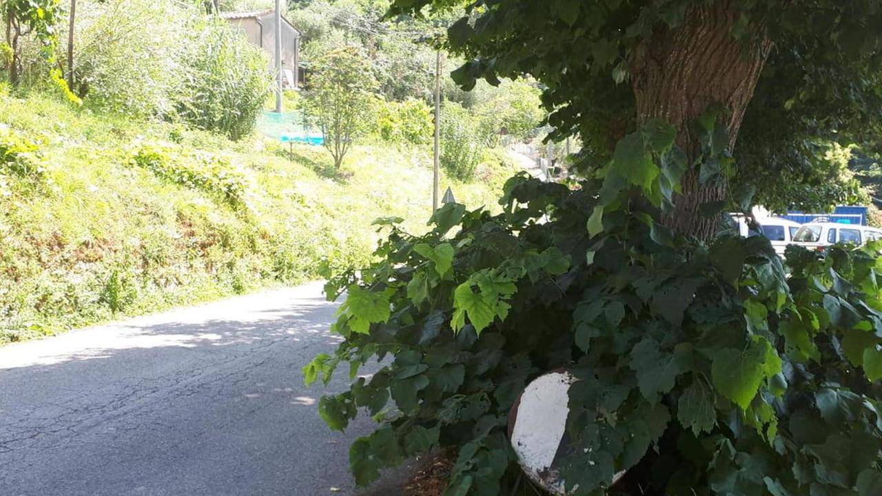 Strade impraticabili in montagna: fate qualcosa