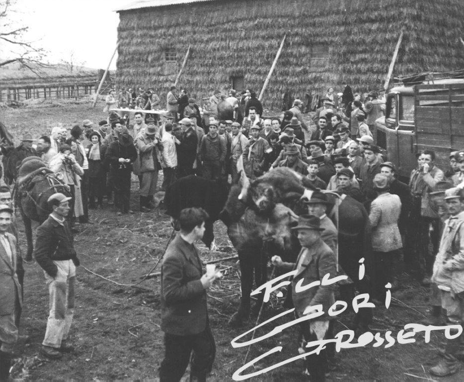 Una bella immagine di una cacciata alla Sacra dell’Archivio Fratelli Gori
