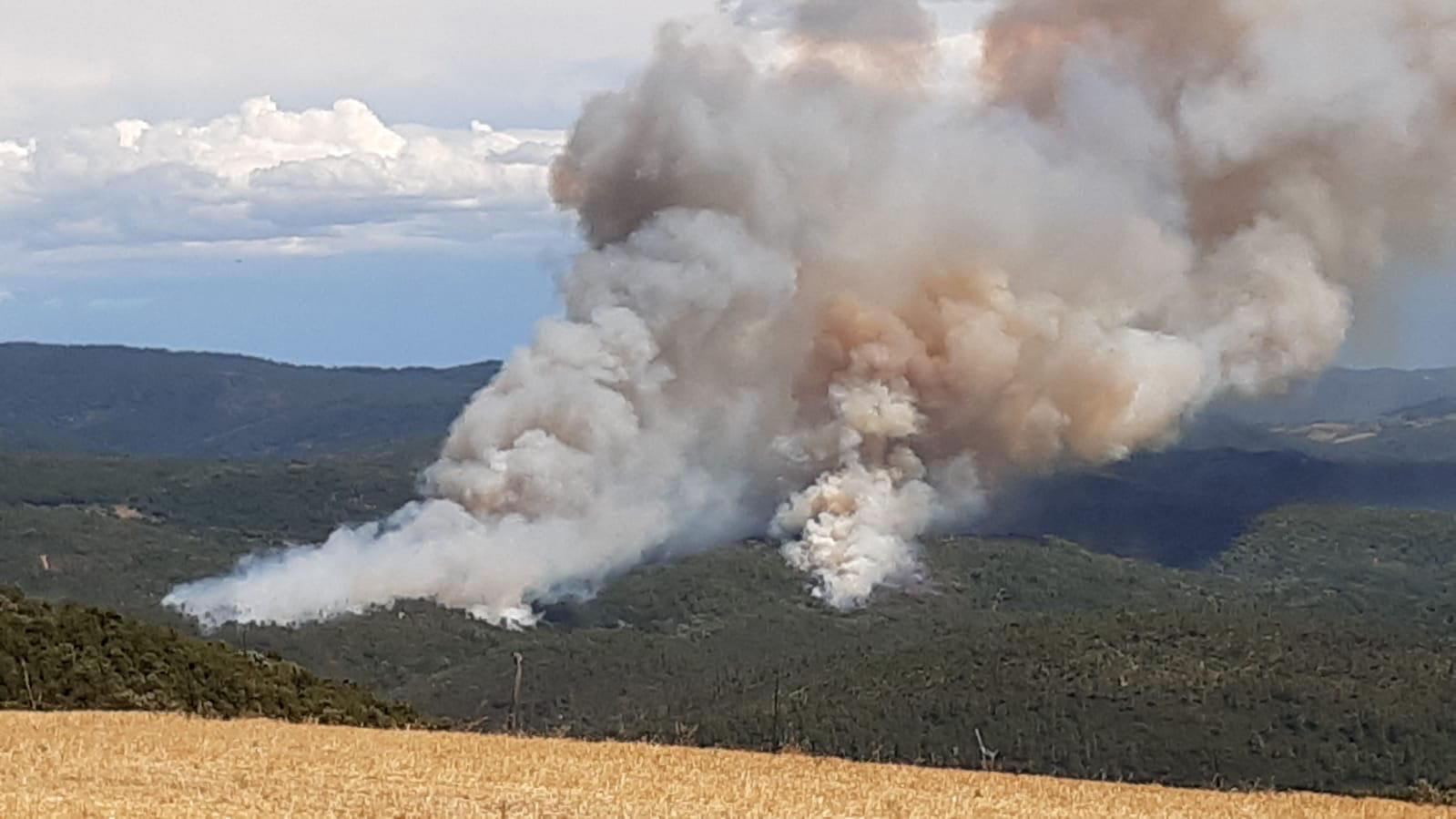 L'incendio nella zona di Bagnolo (foto Vigili del fuoco)