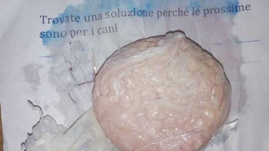 Polpetta con minaccia a Pescaglia: «Le prossime sono per i cani»