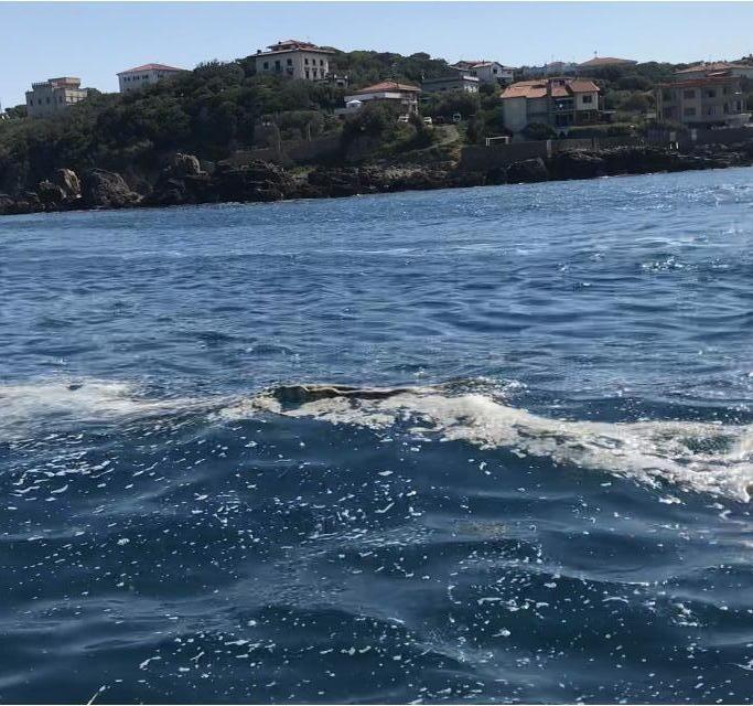 Schiume bianche in mare Arpat:«Servono campioni» 