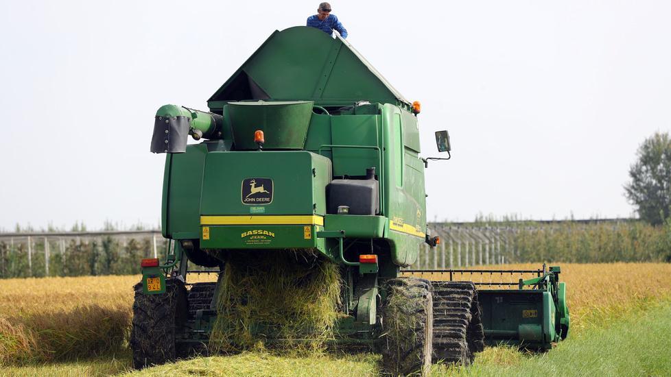 Il Consorzio agrario dell’Emilia ha fatturato 233 milioni di euro