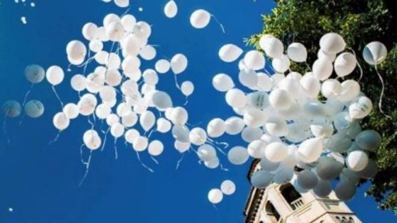 Muore a 11 anni dopo una crisi respiratoria: «Livorno ci ha adottato, Fabio amava tutti»