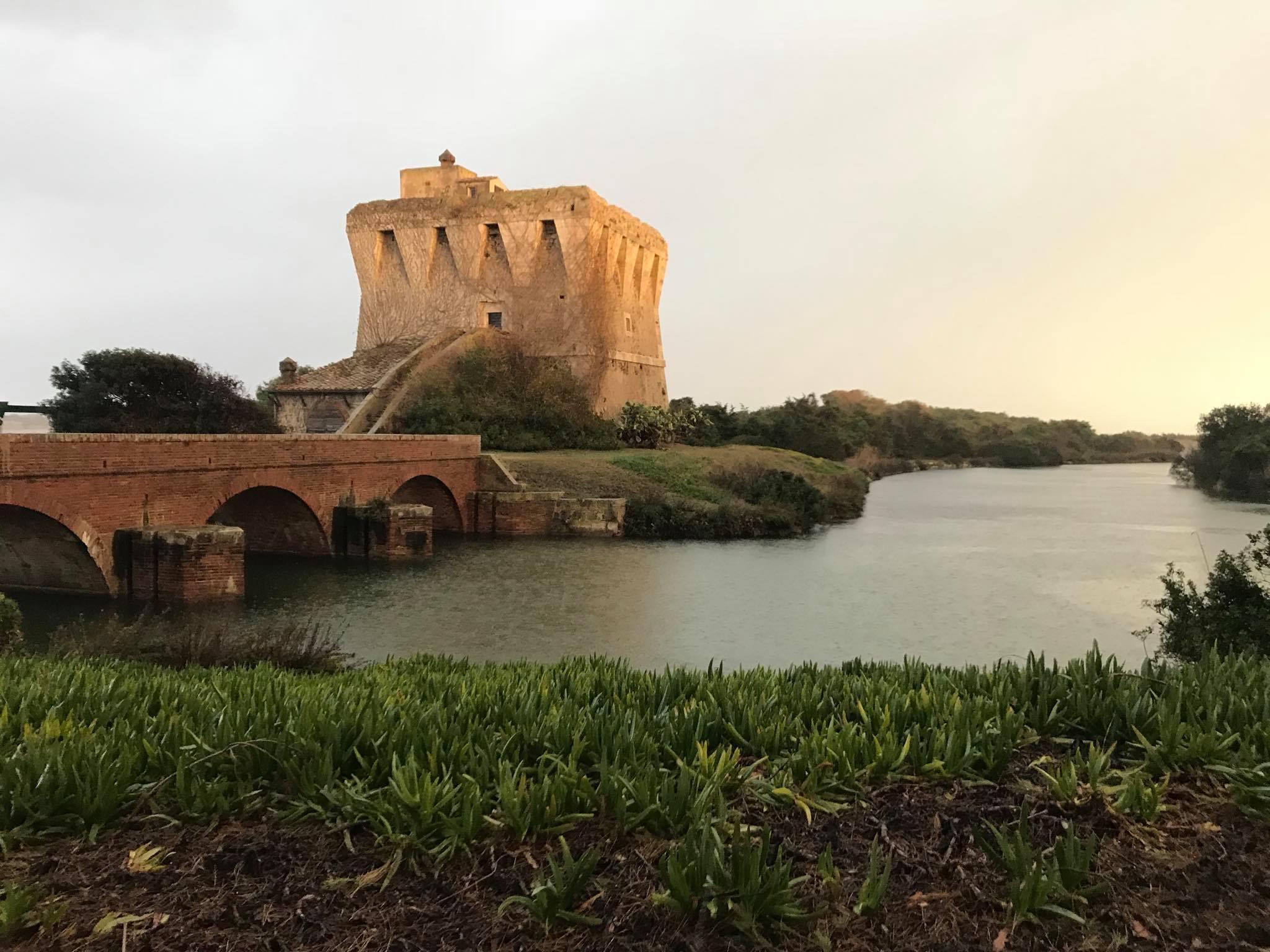 La Torre di Buranaccio com'è oggi (Foto Fabio Cianchi - Oasi Wwf Maremma)