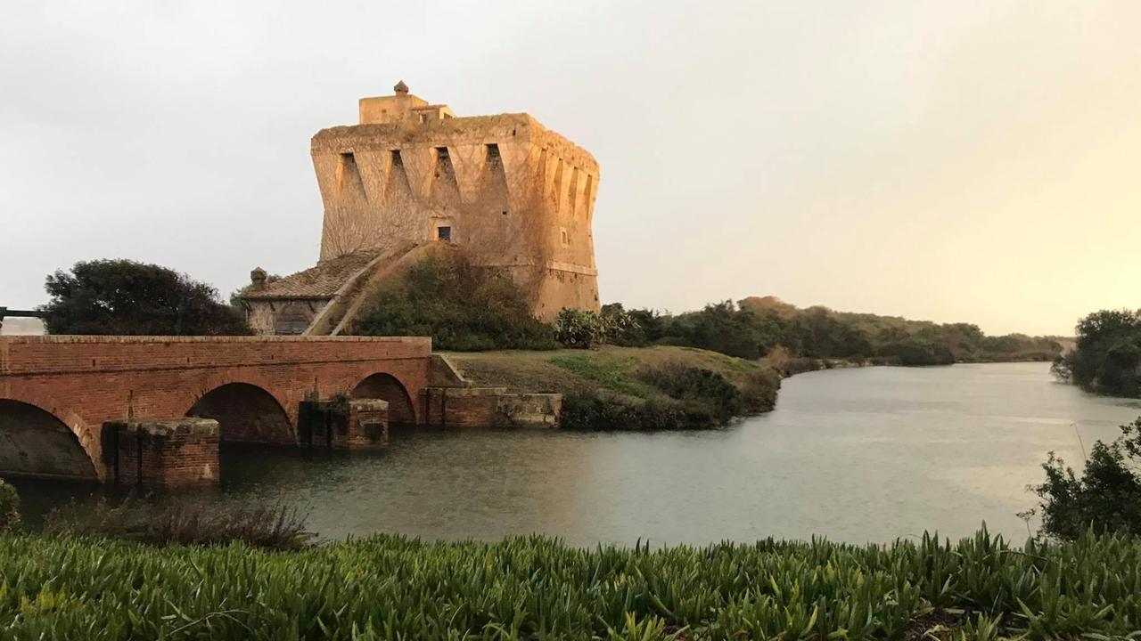 La Torre di Buranaccio com'è oggi (Foto Fabio Cianchi - Oasi Wwf Maremma)