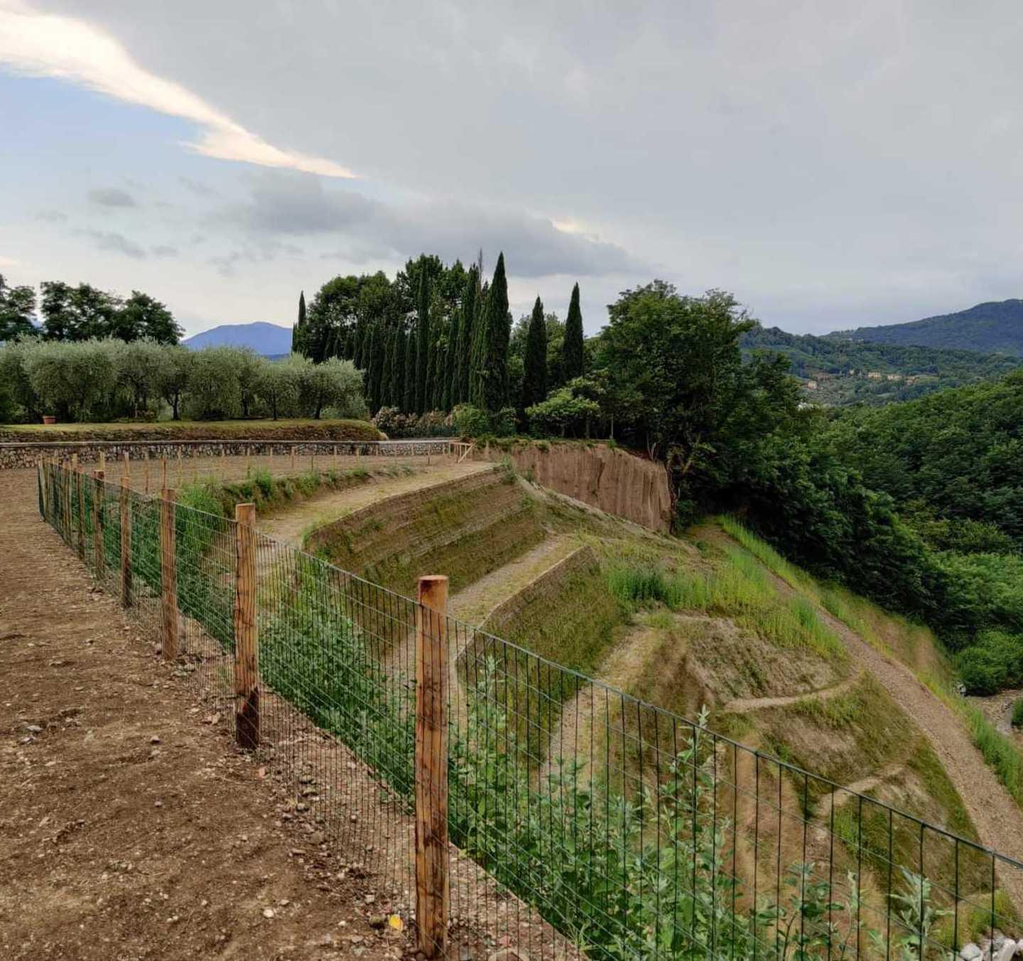 Il Consorzio mette in sicurezza il Solco Grande a Palmata 