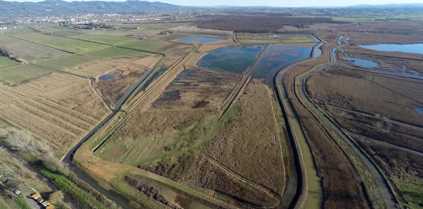 Padule di Fucecchio (quasi) a secco: stop ai prelievi d’acqua 