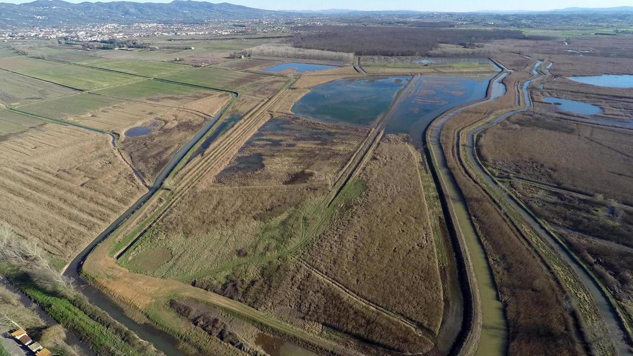 Padule di Fucecchio (quasi) a secco: stop ai prelievi d’acqua