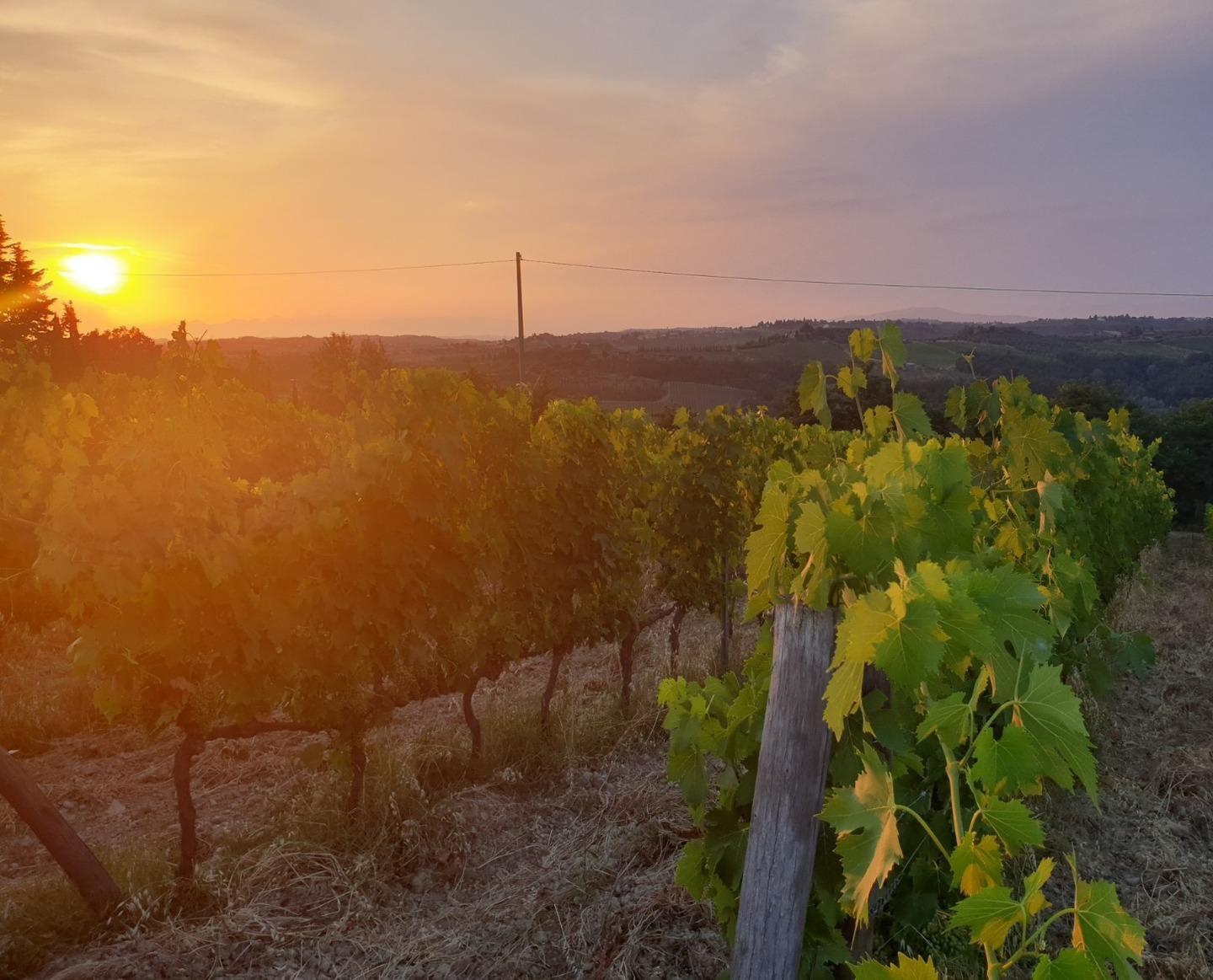 Montespertoli torna a sognare in grande «Nel 2021 saremo capitale italiana del vino» 