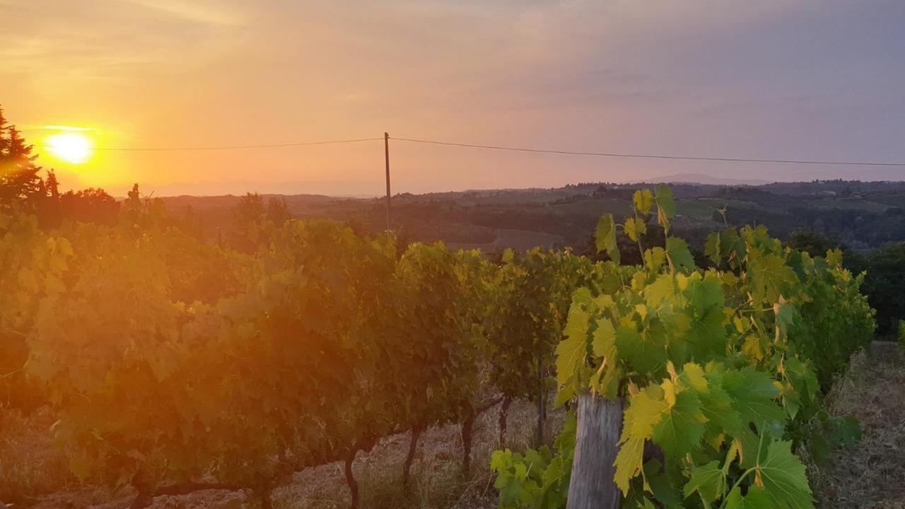 Montespertoli torna a sognare in grande «Nel 2021 saremo capitale italiana del vino»