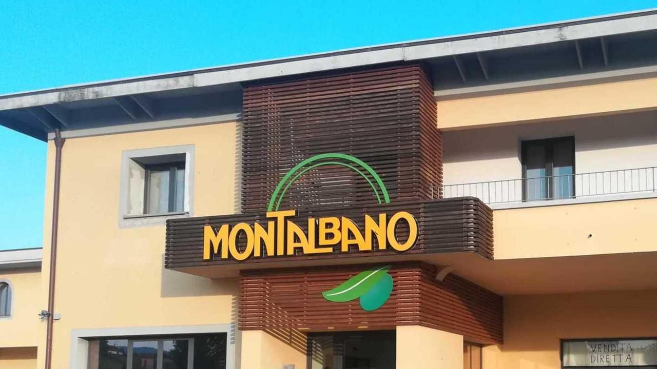 Furto all’Oleificio Montalbano Spariti 50mila litri di olio d’oliva