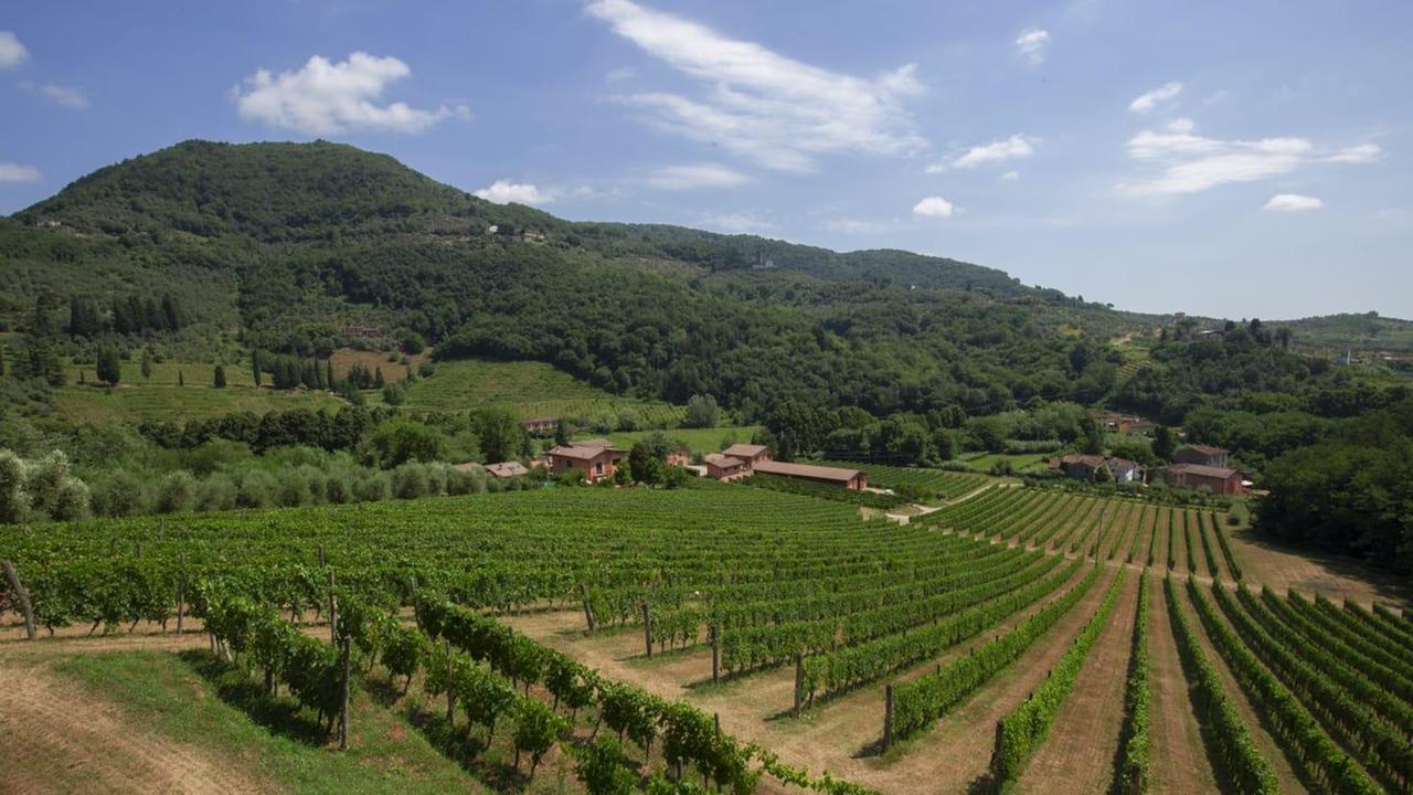 Parla americano il vino prediletto di Tobino. La tenuta del Greo venduta a John Adamo