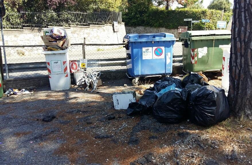 Piantare nuovi alberi Bando della Regione per finanziare i Comuni 