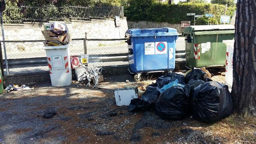 Piantare nuovi alberi Bando della Regione per finanziare i Comuni