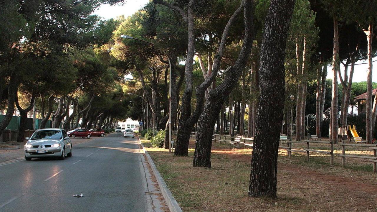 Allenamenti all’aperto tre aree per le associazioni